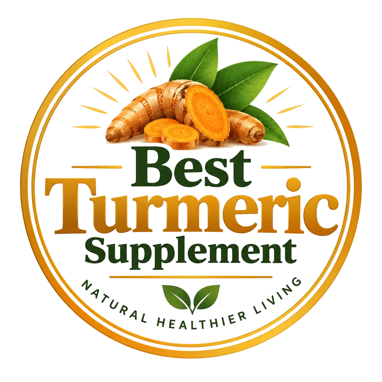 Best Turmeric Supplement logo